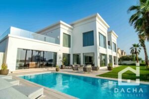 Dacha Real Estate Reviews