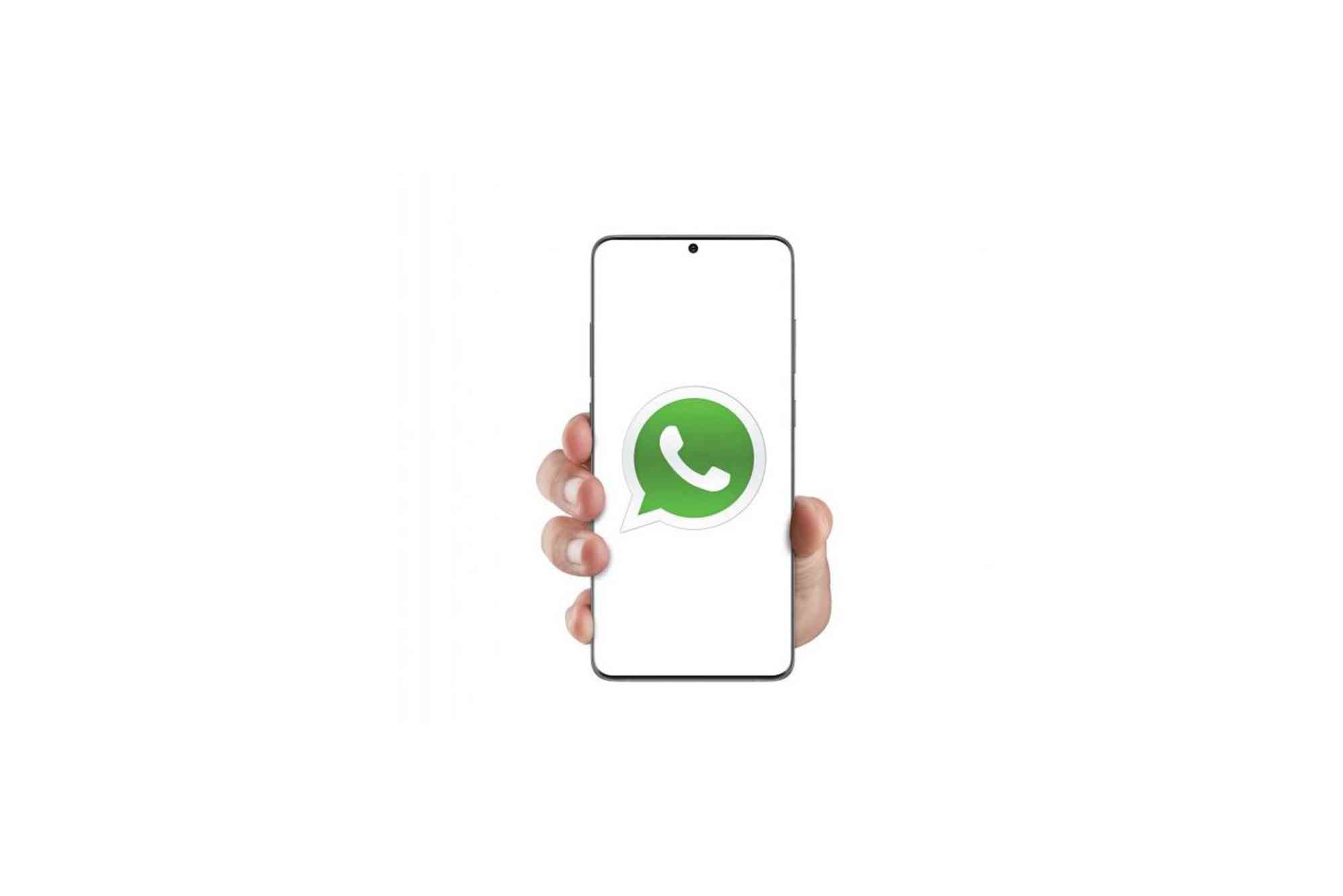 CBD Customer Care Whatsapp Number 24 Hours