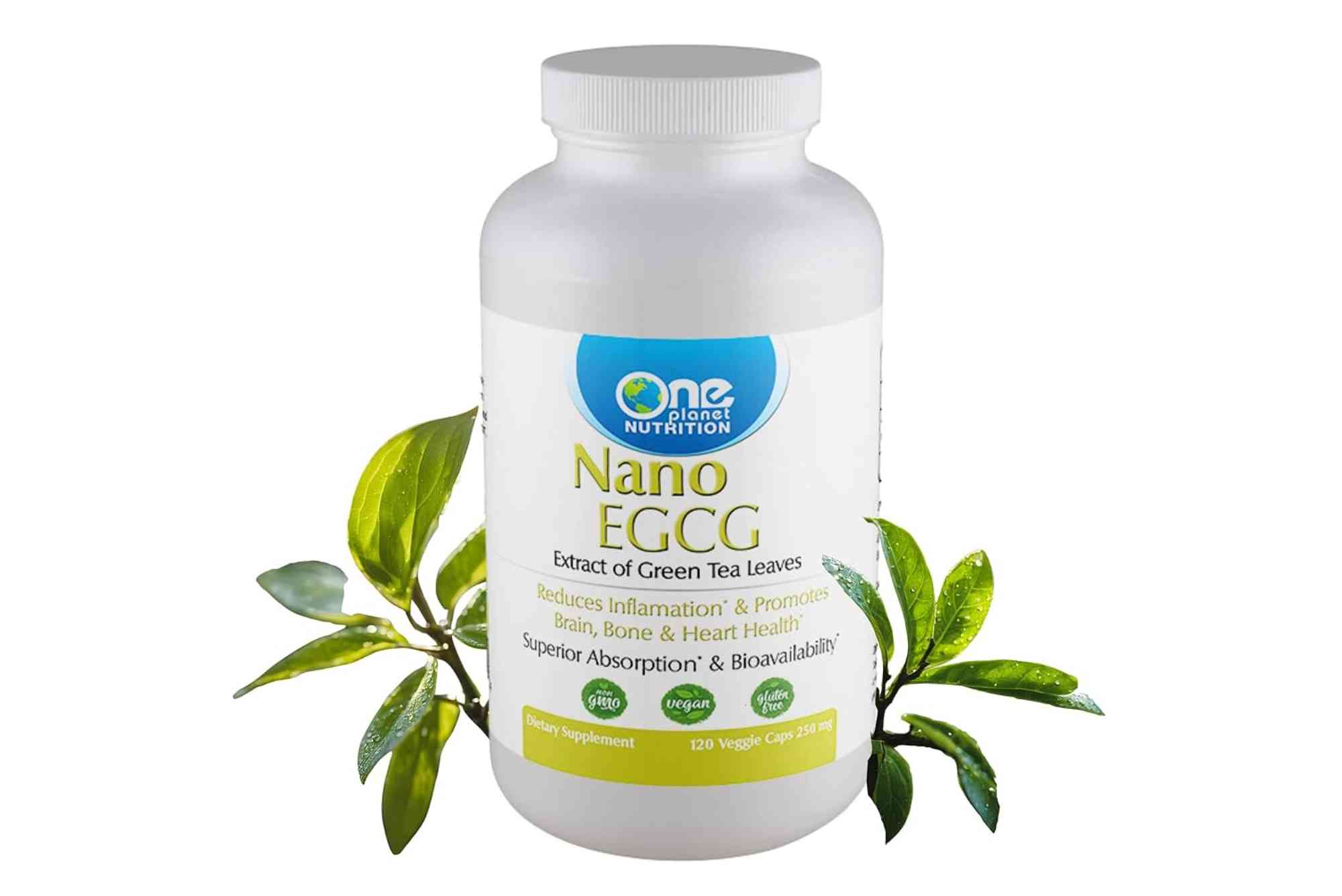 Designs For Health EGCG