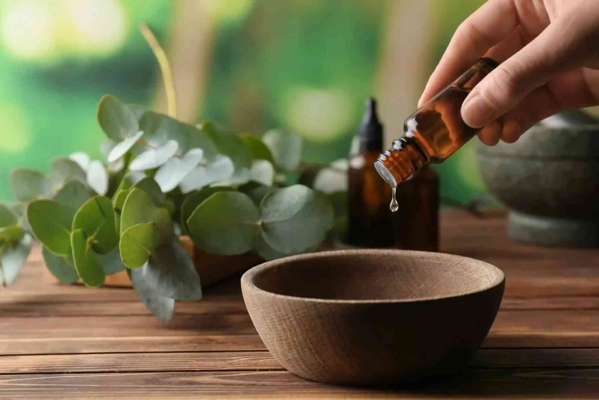 Eucalyptus Health Benefits