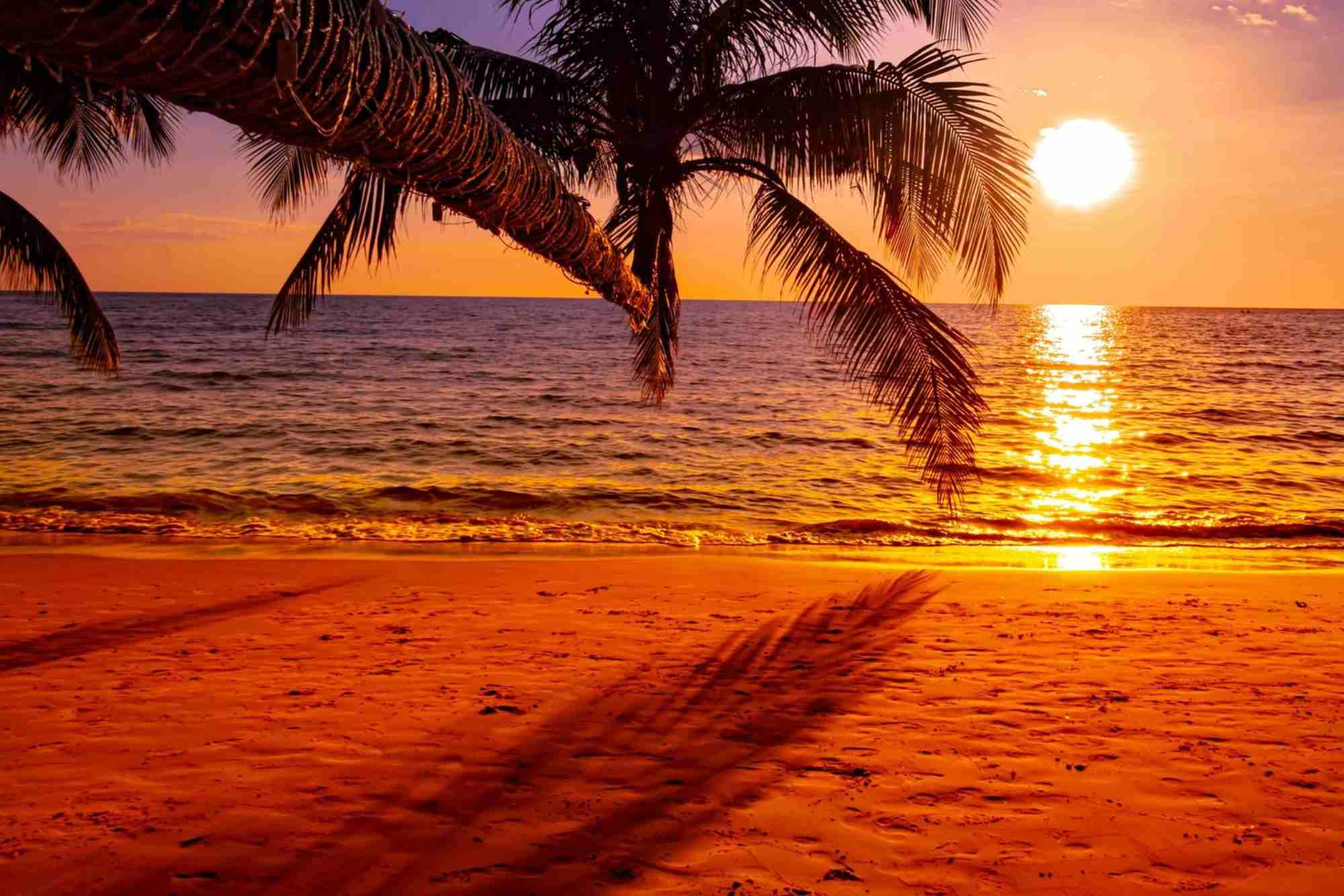 The Sunset is Beautiful Isn't It Meaning