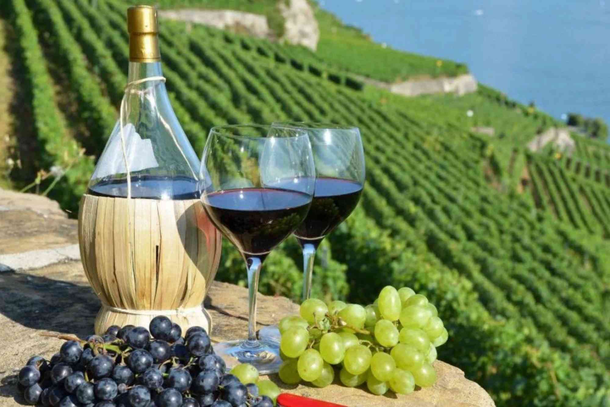 best wine destinations in the world