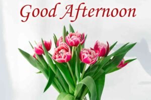 Beautiful Good Afternoon Images