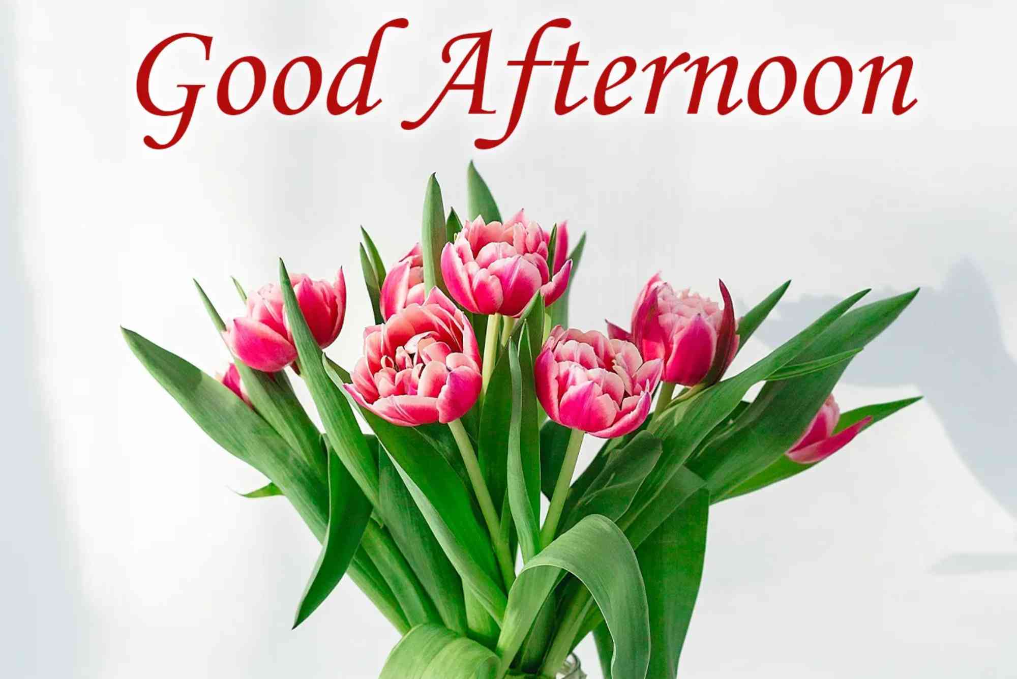 Beautiful Good Afternoon Images