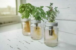 How To Make Hydroponic Fertilizer At Home
