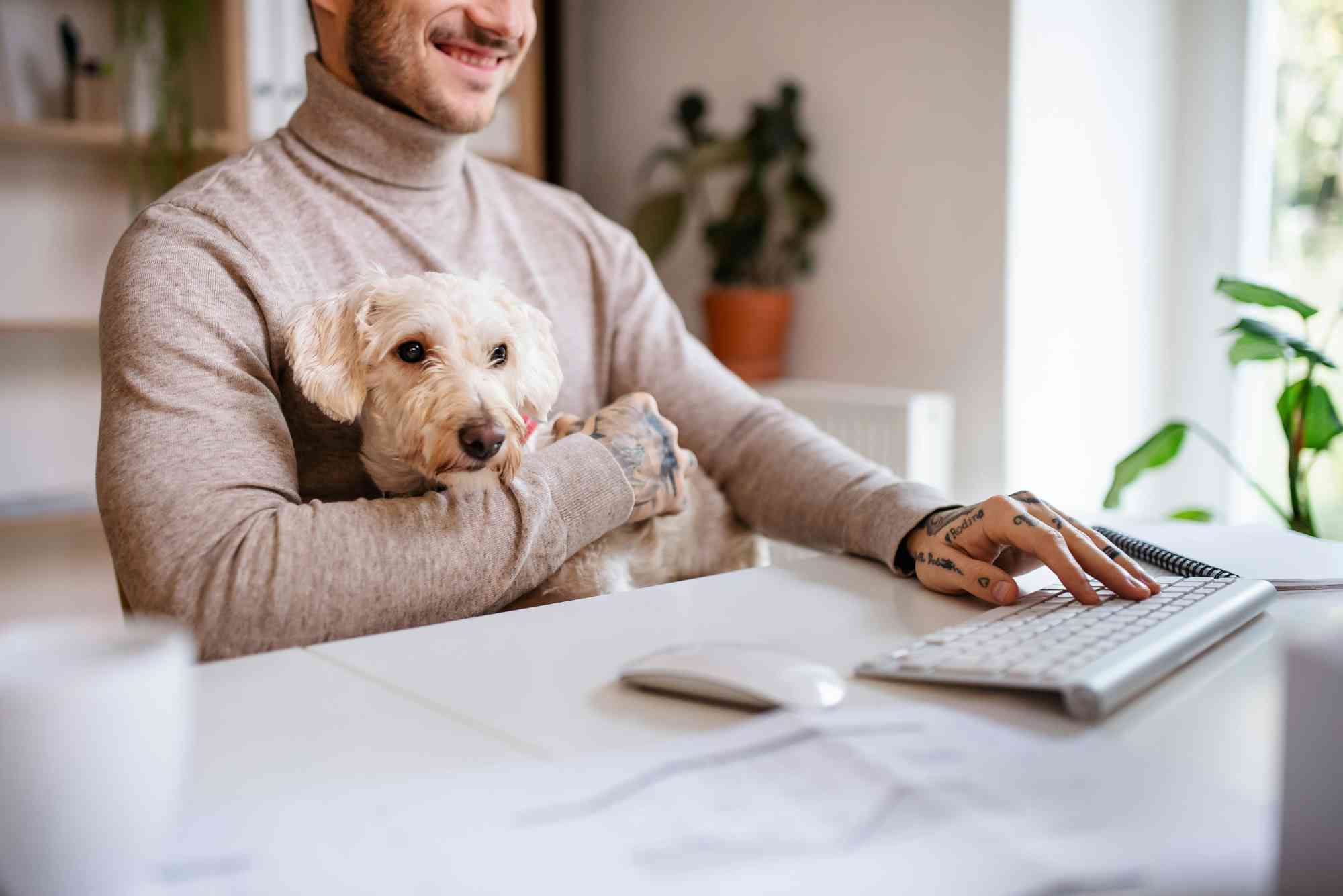 Best Kennel Software